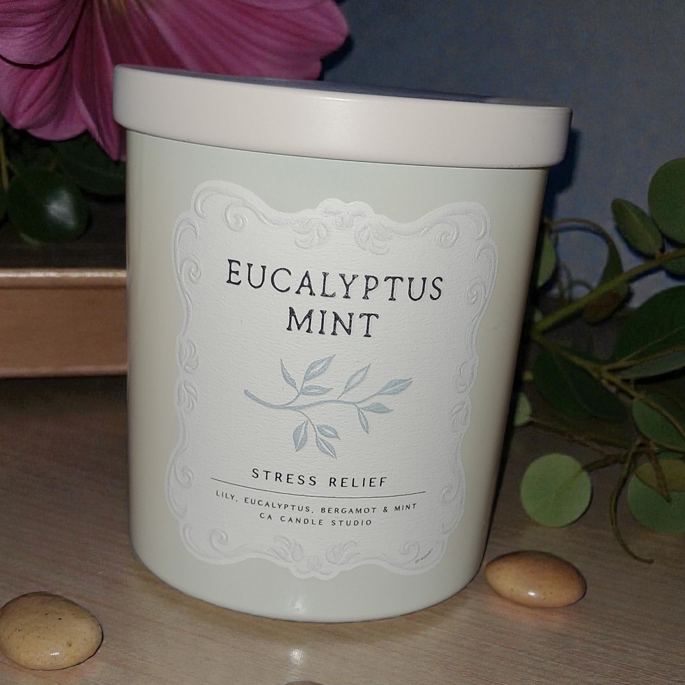 Eucalyptus Mint Candle - 9oz